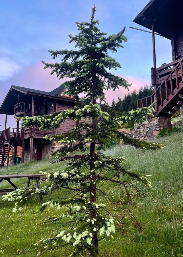 Kuembet Dag Evi Vila Exterior foto